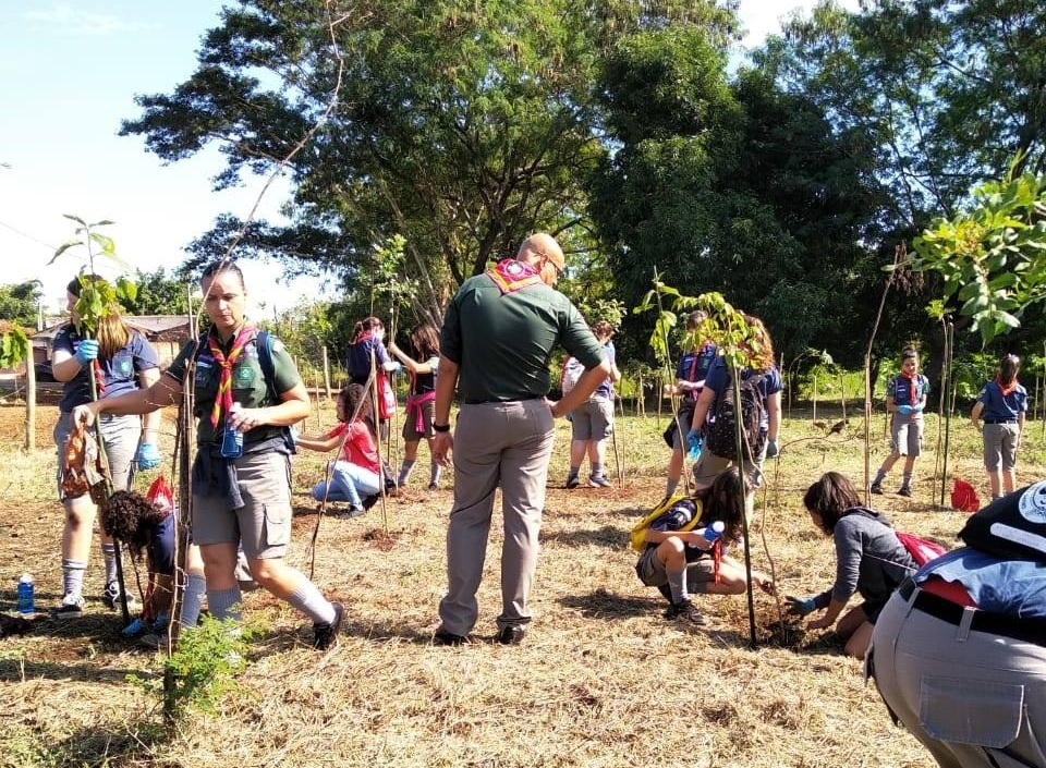 Side of walnut card tray with card groove and recessed card area.