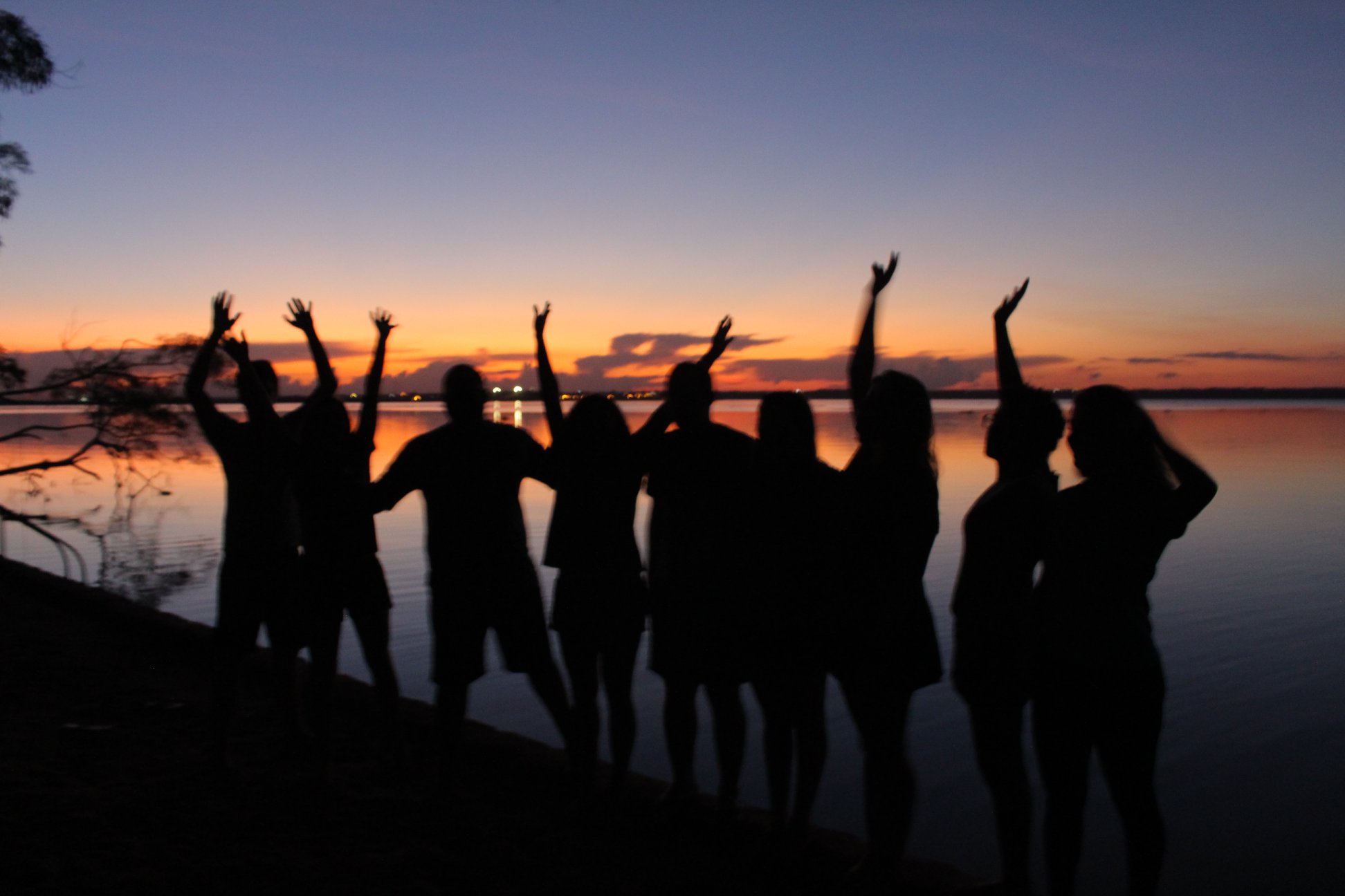 Walnut card tray filled with cards and card angled in dedicated groove.